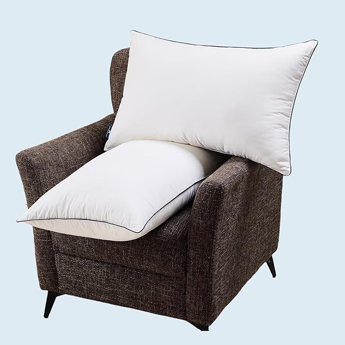 Goose Down Pillows Queen Size Set of 2, Luxury Hotel Collection Bed Pillow 2 Pack, Airyfil™ Powered Fillings & Feather Pillow，Soft Fluffy for Side, Back, Stomach Sleepers 20"x30"