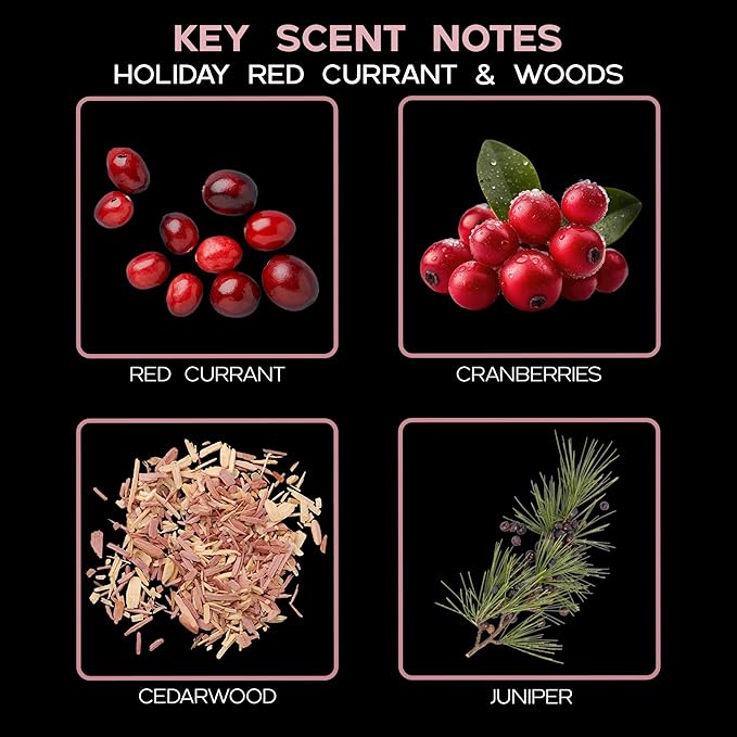 LOVSPA Holiday Spiced Red Currant & Woods Reed Diffuser Set - Red Currants, Pine, Cranberries, Cedar Wood & Juniper - Perfect Seasonal Home Fragrance! Made in The USA