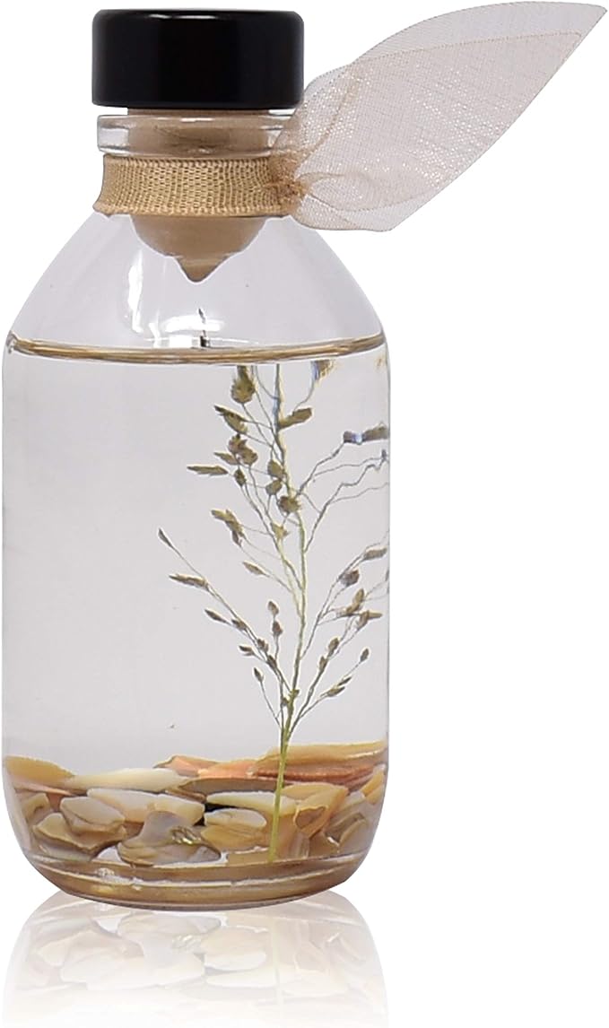 LOVSPA Beachwood Vetiver Reed Diffuser Set - Clean, Light & Airy Scent Diffuser - Non-Toxic Oil Reed Diffuser - Made in The USA