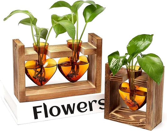 2+1 Plant Terrarium Plant Propagation Station Birthday Gifts for Women Plant Lovers Home Office Decor with Wooden Stand