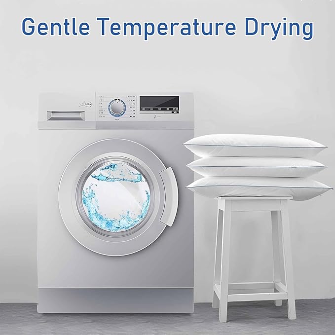 SILUI Extra Flat Soft Thin Pillows Queen Size Set of 2 Pack Bed Pillow with Down Alternative Fill for Side Back Stomach Sleepers, 20x30 Inches, White