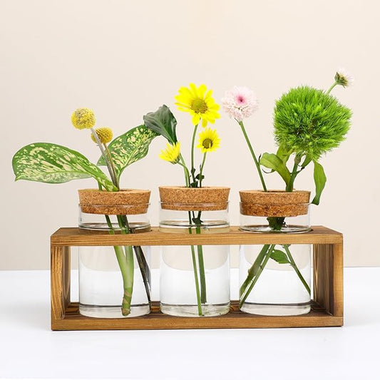 Propagation Stations, Plant Terrarium for Indoor Hydroponic Decor, Glass planters for Fresh Cuttings, Unique Birthday Gifts for Women & Mom, Home/Office Decor