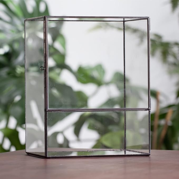 NCYP Close Glass Terrarium with Door - 7.8 x 5.1 x 9.8 Inches Geometric Landscape Clear Planter for Succulent Plants - Indoor Tabletop Centerpiece, Garden Decor (Terrarium Only)