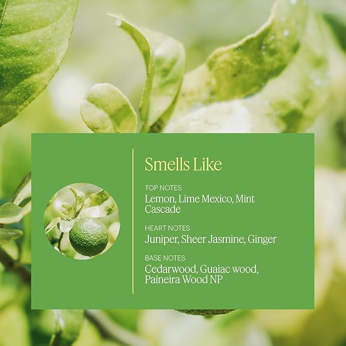 AERA Mini Lime Twist - Essential Oil for Home - Cheerful and Refreshing Fragrance -Notes of Frosty Lime and Ginger- Scent Refill - Capsule Size Works with Mini Diffuser