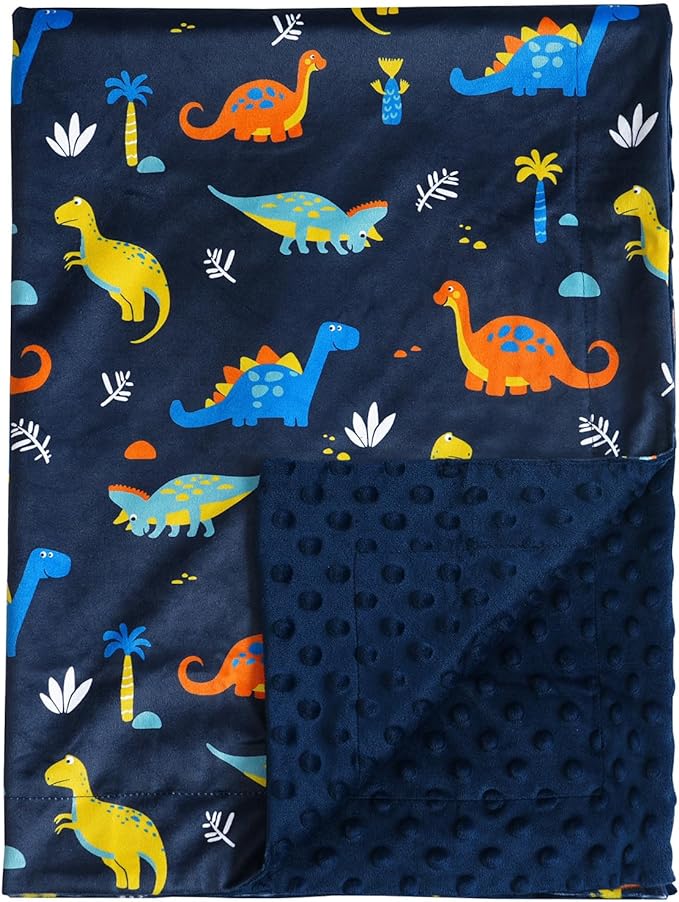 Minky Baby Blanket for Boys, Soft Lightweight Micro Fleece Blanket with Double Layer, Dotted Backing, Breathable Receiving Blanket for Newborns, 30x40 Inches, Dinosaur