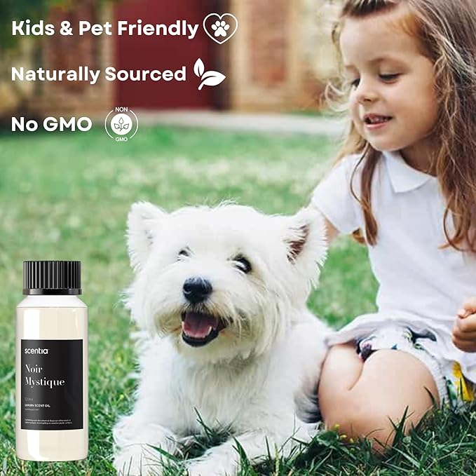 Hotel Diffuser Oil Inspired by The Edition Hotel Scent-120 mL 4.06 fl oz-Fragrance Oil Blend Rose, Bergamot and Musk Notes for Aromatherapy Diffusers and Humidifiers-Noir Mystique, Mothers Day Gift