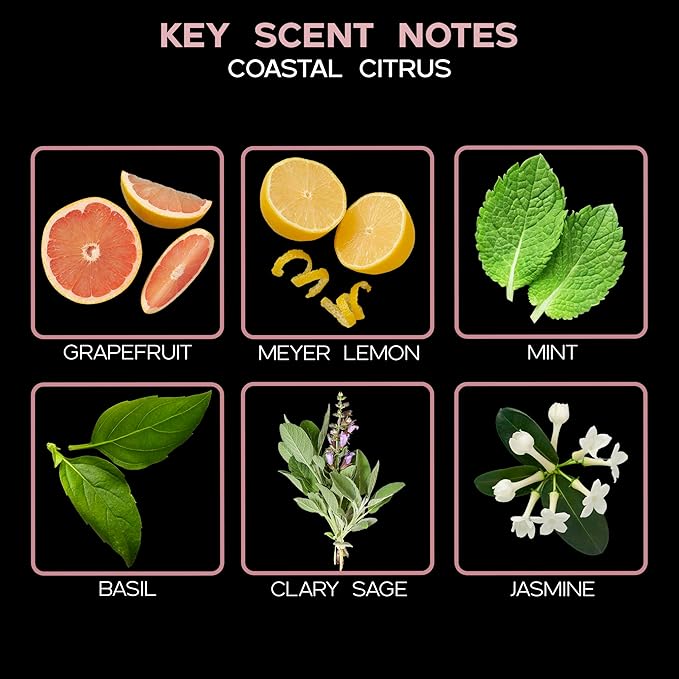 LOVSPA Coastal Citrus Scented Reed Diffuser Set - Fresh Scent Diffuser for Home - Non-Toxic Oil Reed Diffuser - Made in The USA