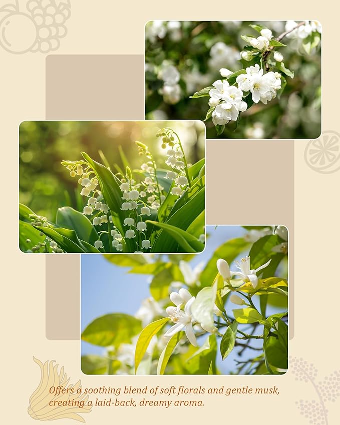 M&Sense Reed Diffuser Set - 7.04 oz Jasmine & Orange Flower Scented Diffusers for Home, Non-Toxic Oil Diffuser with Sticks, Fragrance Diffuser Gifts for Bedroom Bathroom Office