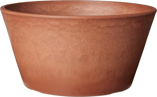 PSW Pot TD25TC Collection Shallow Bulb Pan Planter for Succulents, Bonsai, Fairy Gardens, Herbs, 10-inch, Terra Cotta Color