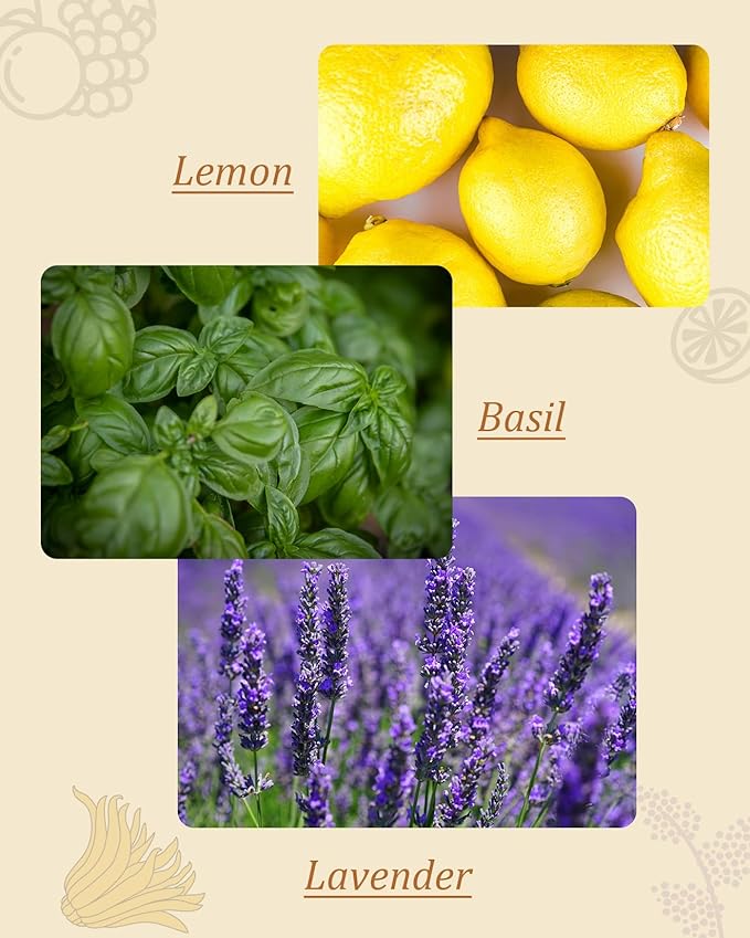 M&SENSE Lime Basil Reed Diffuser Set - 7.04oz Scent Diffusers for Home, Non-Toxic Essential Oil Diffuser with Sticks, Fragrance Diffuser Gift for Bedroom Bathroom Office