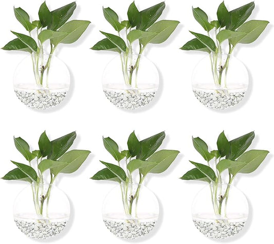 Hanging Wall Planters Pack of 6 Glass Planter Pots Round Glass Flower Vases Hanging Propagation Station Glass Plant Hanger Terrariums Wall Hanging Plant Container