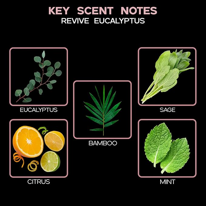 LOVSPA Eucalyptus Essential Oil Reed Diffuser Gift Set | Revive | Fresh Eucalyptus, Sage, Citrus, Bamboo & Mint | Great Aromatherapy Gift for Mom, Dad, Grandma or Aunt