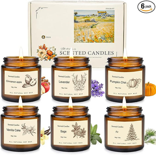 6 Pack Scented Candles for Home, Aromatherapy Gifts for Women Men, Fall Winter Holiday Natural Soy Candles Set for Birthday, Mother's Valentines Day Gifts for Her
