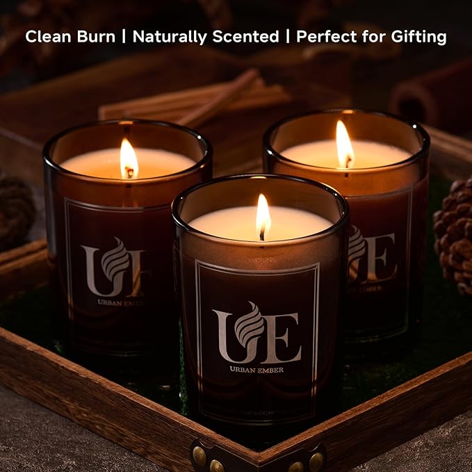 Eucalyptus Mint Scented Candle, Aromatherapy Candle for Home Scented - 55 Hours Long Lasting Soy Wax Candle - Strong Fragranced Black Candle Gift for Women & Men, 8 oz