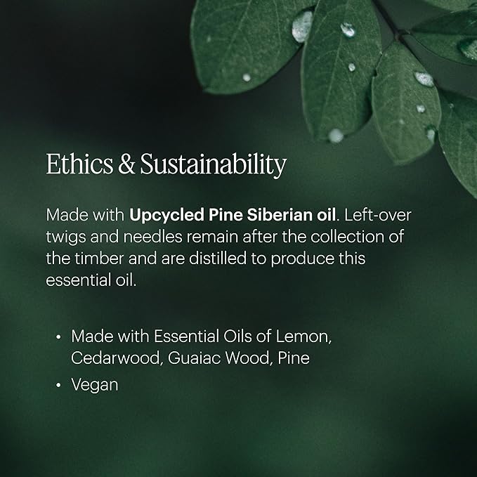 Aera Bamboo Jardin Home Fragrance Scent Refill - Notes of Lush Greens and Citrus - Works with the Aera Diffuser