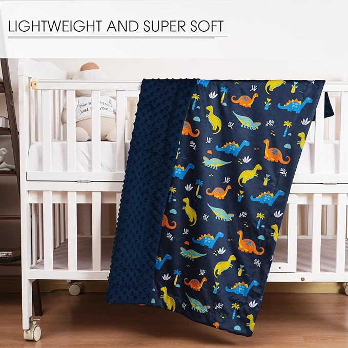 Minky Baby Blanket for Boys, Soft Lightweight Micro Fleece Blanket with Double Layer, Dotted Backing, Breathable Receiving Blanket for Newborns, 30x40 Inches, Dinosaur