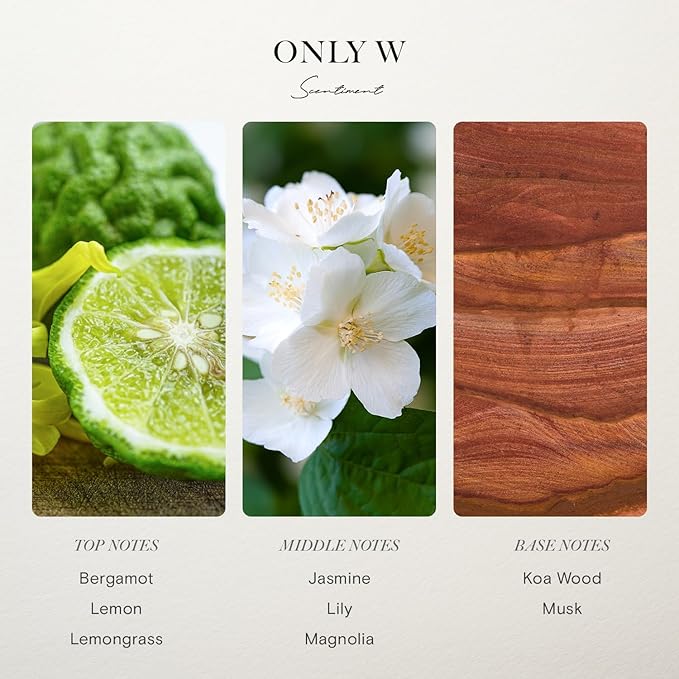 Hotel Diffuser Oil | Aromatherapy Fragrances Inspired by 5-Star Hotels | Luxurious Scents with Notes of Cardamom, Tuscan Leather, and Sandalwood (20ml, Top 5 Scents)