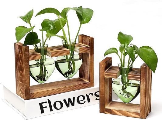 2+1 Plant Terrarium Plant Propagation Station Birthday Gifts for Women Plant Lovers Home Office Decor with Wooden Stand