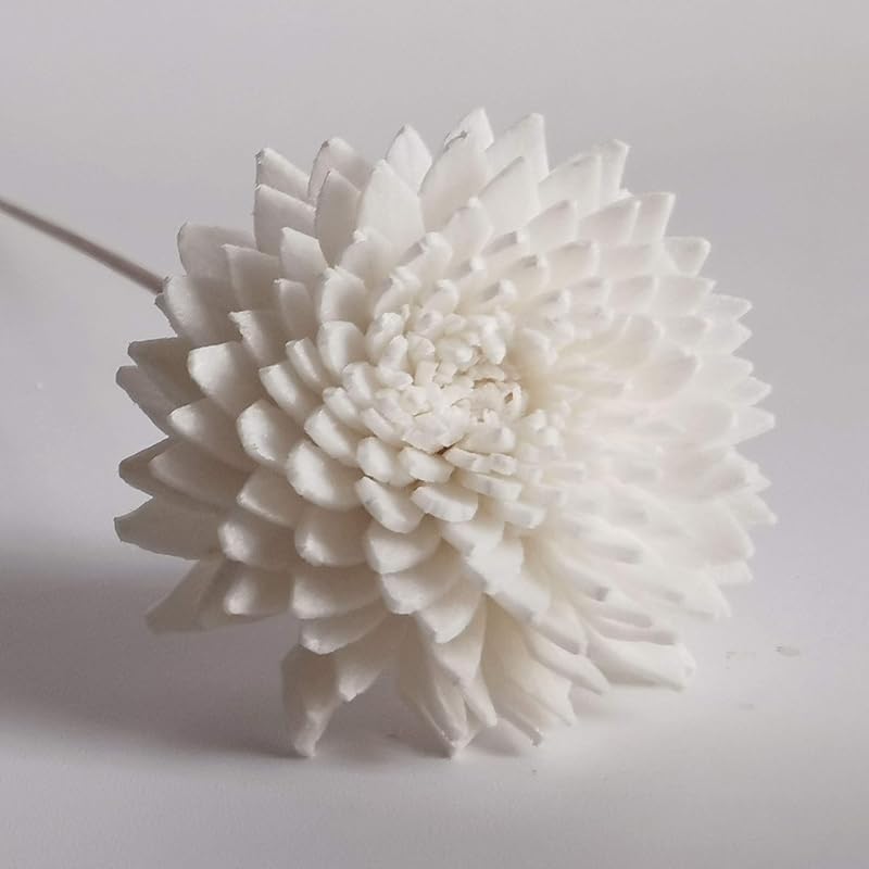 20 Mini Gerbera Rose Sola Flower Reed Diffuser Stick for Home Fragrance by Plawanature