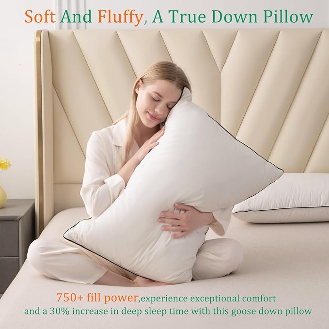 Luxury White Goose Down Pillows Queen Size - 750 Fill Power - 500 Thread Count 100% Cotton Shell - Soft and Support Down Bed Pillow for Back, Side, Stomach Sleepers - Pack of 2 (20 x 28”)