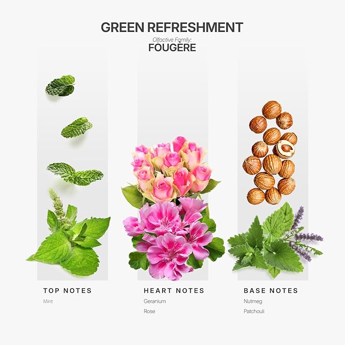 Aromaplan Hotel Scents Green Refreshment 5 Fl Oz (148ml), Home Luxury Aroma & Hotel Fragrance Diffuser Oil- Hotel Diffuser Oil for Aromatherapy- USA Made, Bigger Bottle, Bolder Aroma & Longer Lasting