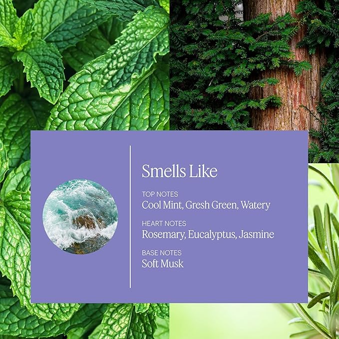 Aera Spa La La Home Fragrance Scent Refill - Notes of Peppermint and Rosemary - Works with The Aera Diffuser