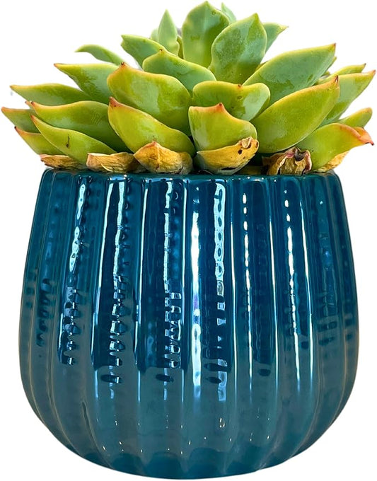 Admired By Nature 4" Ceramic Flower Planter, Ceramic Pot Planter, Indoor Ceramic Bowl, Houseplant Ceramic Pot, Decorative Planter for Indoor Plant Succulent Plant Home Décor, Lightweight, Turquoise