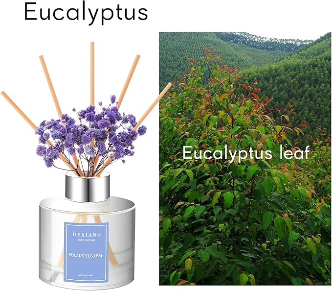 Reed Diffuser Set 3.38 oz (100ml) 2pcs,Eucalyptus/Lemon Verbena Scented Reed Diffuser Set,Reed Diffuser & 12pcs Reed Diffuser Sticks,Home & Kitchen| Home & Bathroom Decor，Fragrance and Gifts