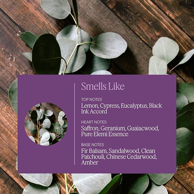 Aera Poetry - Essential Oil for Home – Smooth Suede and Violet Fragrance - Notes of Vetiver, Eucalyptus and Woods - Scent Refill - Works with the Aera Diffuser