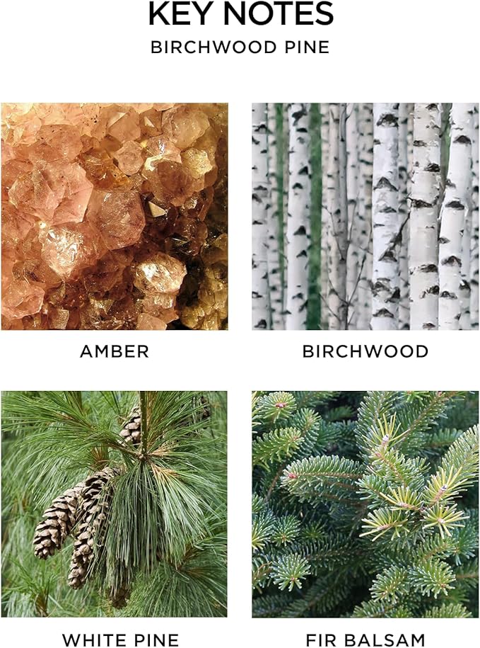 NEST New York Smart Home Fragrance Diffuser Refill Smart Vials, Birchwood Pine - Set of 2 - Designed for NEST x Pura 3 and NEST x Pura 4 Diffusers - Cruelty Free, Vegan - Made in USA