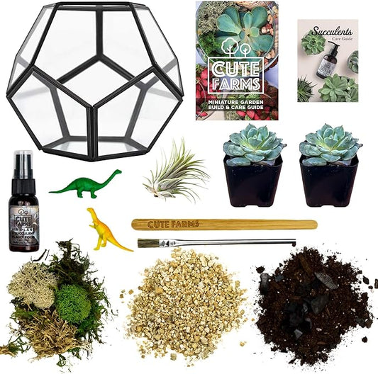 Cute Farms Glass Terrarium Kit | Just Add Your Own Plants (Geometric Glass + Live Plants)