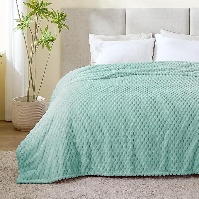 BEDELITE Fleece Throw - Twin Blanket for Bed Couch, 3D Jacquard Decorative Haze Blue, Soft Cozy Warm Plush Fuzzy Blanket for All Seasons, 60x80Inches