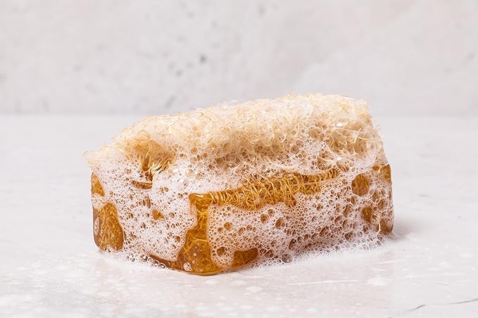 SABUN CO. Coconut Oil Loofah Soap - Natural Exfoliating Soap Bar for Face & Body Scrub - Moisturizing Soap for Softer Skin - Handmade with Coconut Oil, Jojoba Oil, Witch Hazel [4.40 oz - 125 gr]