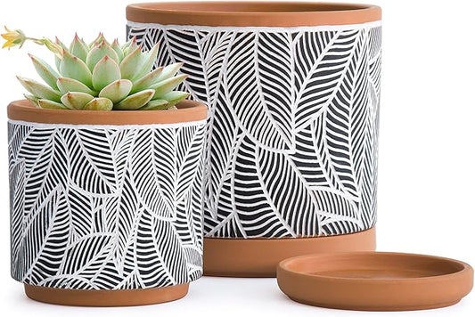D'vine Dev Set of 2 Terracotta Pots, Leaves Pattern Planter Pot, 4 Inch and 6 Inch, Pot with Drainage Hole and Saucer, Terracotta/Black, 31-958-I-2