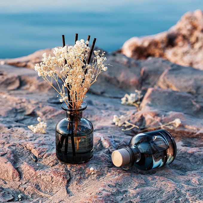 Brakula 2 Pack Reed Diffuser, Bamboo + Eucalyptus & Wild Mint (3.38 fl oz Each Pack), Home Fragrance with 12 Sticks, Shelf Decor, Reed diffusers for Home