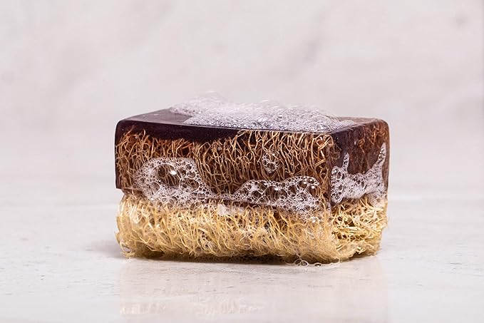 Lavender & Vanilla Loofah Soap Bar - Natural Exfoliating, Moisturizing - Aromatherapy for Face & Body [4.40 oz - 125 gr]