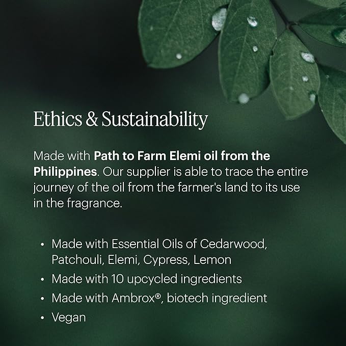 Aera Poetry - Essential Oil for Home – Smooth Suede and Violet Fragrance - Notes of Vetiver, Eucalyptus and Woods - Scent Refill - Works with the Aera Diffuser