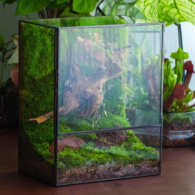 NCYP Close Glass Terrarium with Door - 7.8 x 5.1 x 9.8 Inches Geometric Landscape Clear Planter for Succulent Plants - Indoor Tabletop Centerpiece, Garden Decor (Terrarium Only)