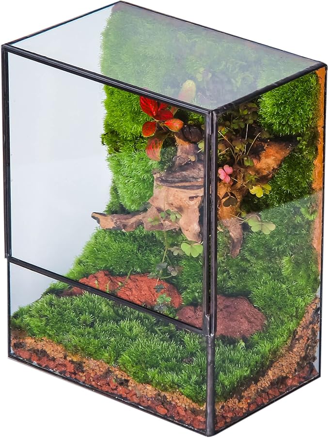 NCYP Close Glass Terrarium with Door - 7.8 x 5.1 x 9.8 Inches Geometric Landscape Clear Planter for Succulent Plants - Indoor Tabletop Centerpiece, Garden Decor (Terrarium Only)