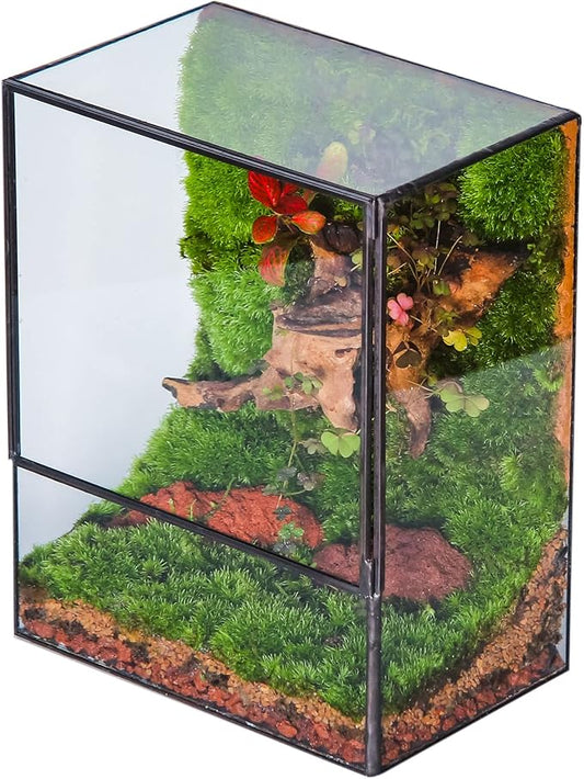 NCYP Close Glass Terrarium with Door - 7.8 x 5.1 x 9.8 Inches Geometric Landscape Clear Planter for Succulent Plants - Indoor Tabletop Centerpiece, Garden Decor (Terrarium Only)