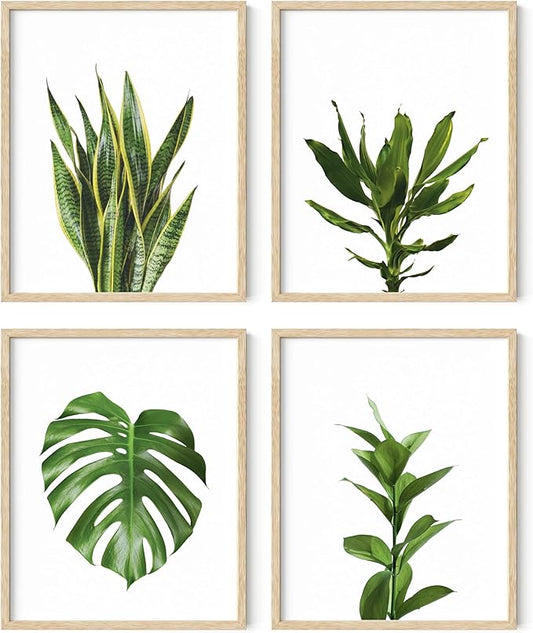 Plant Photo Set of 4-8x10 Framed Beige