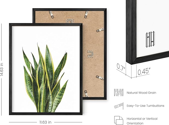 Haus and Hues Plant Wall Art - Set of 4 Botanical Prints, Sage Green Leaves Paintings, Minimalist Wall Art (Black Aluminum Frame, 11x14)