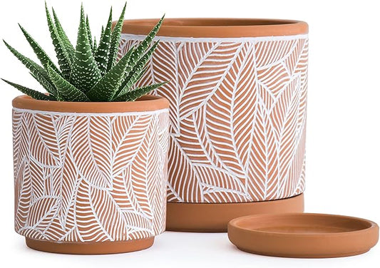 D'vine Dev Set of 2 Terracotta Pots, Leaves Pattern Planter Pot, 4 Inch and 6 Inch, Pot with Drainage Hole and Saucer, Terracotta/White, 31-958-I-1