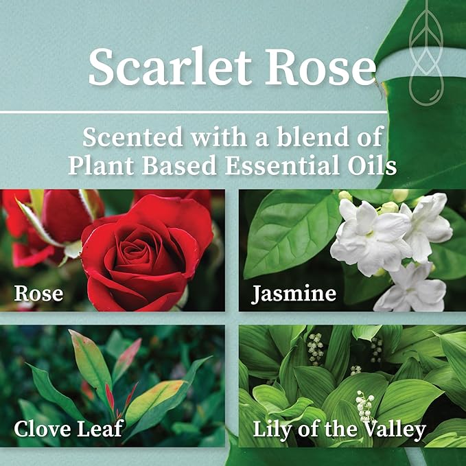 Hemlock Park Scarlet Rose Artisanal Spa Gift Box | Apothecary Candle, Shea Butter Soap, Bath Bomb, Mineral Salt Bath Soak | Handcrafted with Plant Based Ingredients