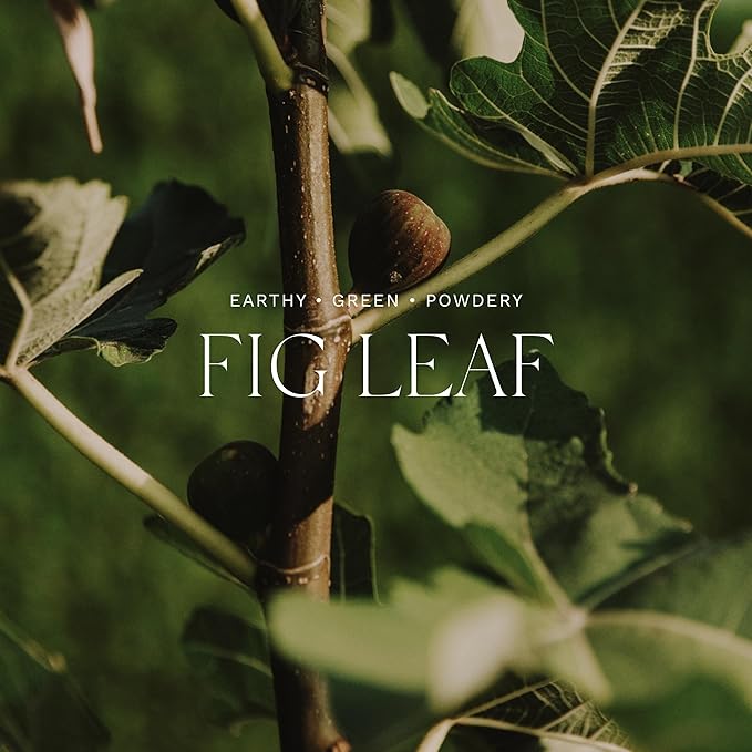 Antica Farmacista Home Ambiance Diffuser, Green Fig, 16.9 Fl Oz