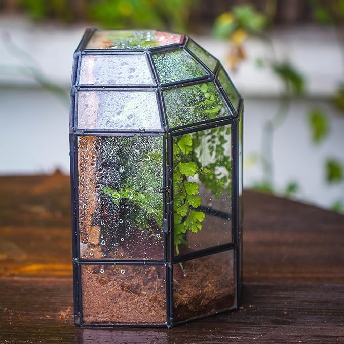 NCYP Half Dome Geometric Glass Terrarium with Door, Closed Succulents Planter Pot, Miniature Landscape Container, Indoor Tabletop Decor, Black (Terrarim Only)