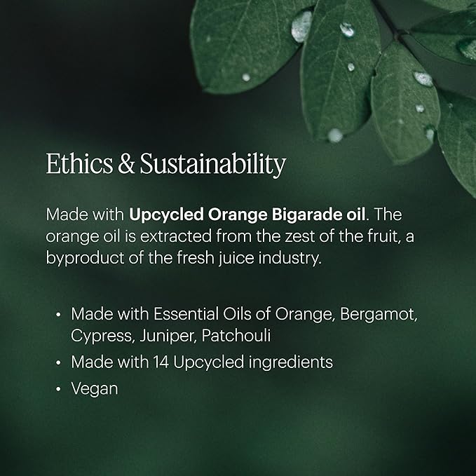 AERA Pacific Surf - Essential Oil for Home – Invigorating Ocean Fragrance - Notes of Marine and Cedarwood - Scent Refill - Works with The Diffuser