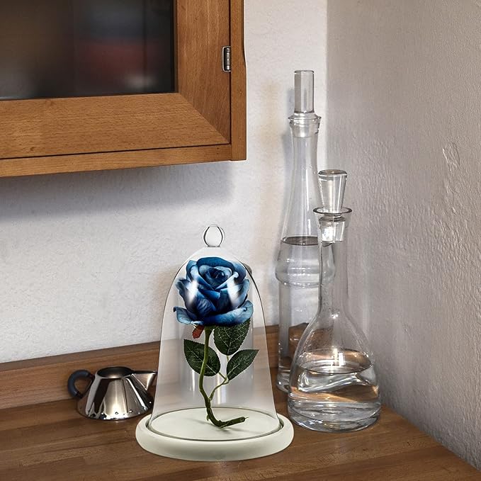 Clear Glass Dome Cloche with Rustic Wooden Base Antique Bell Jar Display Dome for Plants Succulents Fairy Lights Photos Medals Decorative Fill and More White