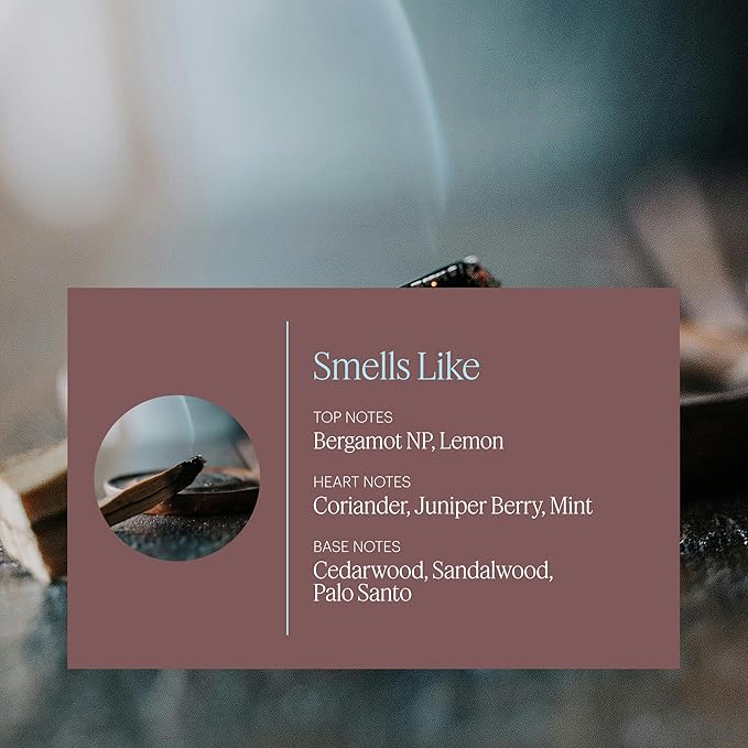 AERA Palo Santo - Essential Oil for Home - Purifying and Cleansing Fragrance - Notes of Palo Santo, Juniper and Peru Balsam - Scent Refill - Works with The Diffuser