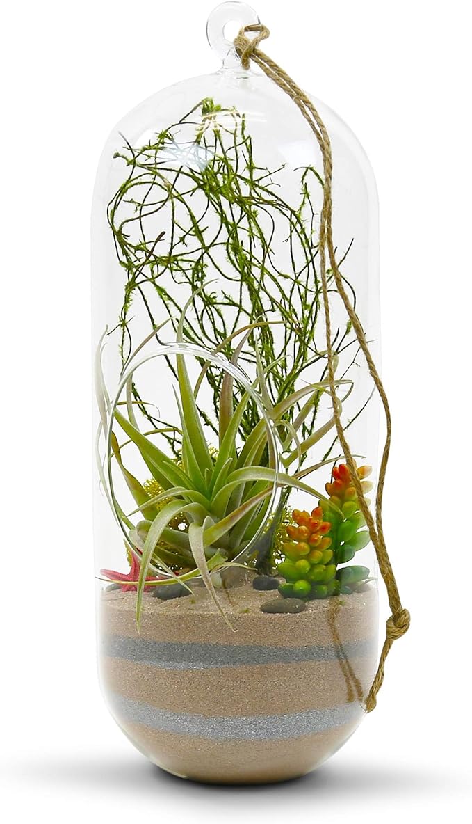 WGV Hanging Glass Plant Terrarium, Width 5", Height 12", Lantern DIY Air Succulent Planter Clear Tea Light Votive Candle Holder, Wedding Event Office Home Outdoor Decor, 1 Piece